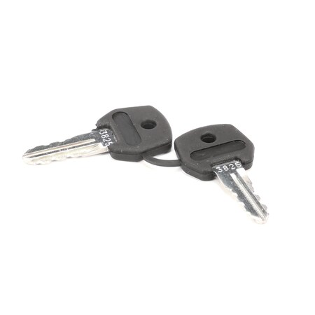 Stoelting Keys; For 2 Pos Switch 719102 719102-KY